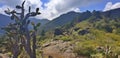 Cloudy mountains with cactus