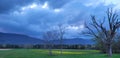 Cloudy overcast sky at dusk with dead trees and vivid green yellow field and blue mountains landscape of rural farmland New York