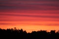 Cloudy pink-blue sunset over dark forest silhouettes, top view Royalty Free Stock Photo