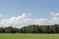 Cloudy sky with grass and forest edge Royalty Free Stock Photo