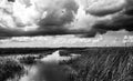 Cloudy skies above the open Florida Everglades grasslands with pathway