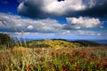 Cloudy sky Royalty Free Stock Photo