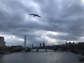 Cloudy Sky with bird flying over London City River Thames with Landmarks in the background Royalty Free Stock Photo