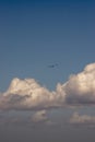 Cloudy sky and a bird flying. Storm clouds. Background Royalty Free Stock Photo