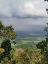 Cloudy sky and dense trees branches, grass and leaves foreground, view from rainforest mountain peak of Gunung Panti, Malaysia