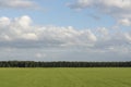 Cloudy sky with grass and forest edge Royalty Free Stock Photo