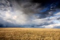 Cloudy sky and meadow Royalty Free Stock Photo