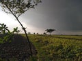 Cloudy sky and a nice looking field