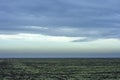 Cloudy sky over an agricultural field winter wheat in the early winter morning Royalty Free Stock Photo