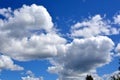 Cloudy sky over the forest. White clouds against a blue sky Royalty Free Stock Photo