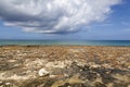 Cloudy Sky Over Grand Cayman Shore Royalty Free Stock Photo
