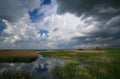 Cloudy sky over marshes Royalty Free Stock Photo
