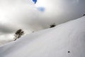 Cloudy sky over a mountain ski slope with some trees.