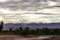 Cloudy sky over the valley with wild plants at the Tatacoa Desert, Colombia at sunset