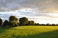 Cloudy sky, sun rays, green field, trees and beautiful sunset in Ireland