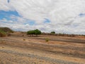 Yellow earth in Africa Royalty Free Stock Photo