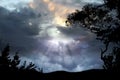 Cloudy sky trees silhouette on front night moon dramatic blue nebula panorama nature weather forecast