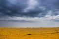 Cloudy sky under the sand of sea beach, Arabat Spit, Ukraine