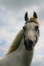 Cloudy sky, white arabian Royalty Free Stock Photo