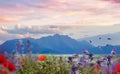 Cloudy sunset at mountains nature landscape Olympus mountains field wild flowers lilac  lavender red   poppy meadow Greece landsca Royalty Free Stock Photo