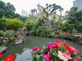 Cloudy view of the Lou Lim Ioc Garden