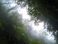 Cloudy view of tropical jungle and cloudy sky. Rainforest in fog, view from valley between green mountains Royalty Free Stock Photo