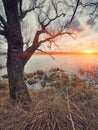 Cloudy weather over the lake at sunset Royalty Free Stock Photo