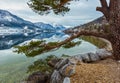 Cloudy winter Alpine  lake Grundlsee view Austria with big pine tree and fantastic pattern-reflection on the water surface and Royalty Free Stock Photo