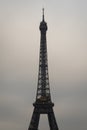 Cloudy winter day Eiffel Tower - Paris Royalty Free Stock Photo