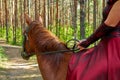 Clouse up of hand of woman rider in red dress and horse