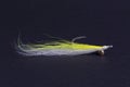 Clouser Minnow Royalty Free Stock Photo