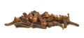 Clove Royalty Free Stock Photo