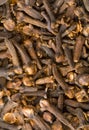 Clove Royalty Free Stock Photo