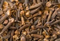 Clove Royalty Free Stock Photo