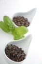 Clove and allspice Royalty Free Stock Photo