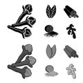 Clove, bay leaf, nutmeg, cinnamon.Herbs and spices set collection icons in black,monochrom style vector symbol stock