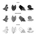 Clove, bay leaf, nutmeg, cinnamon.Herbs and spices set collection icons in black,monochrome,outline style vector symbol Royalty Free Stock Photo