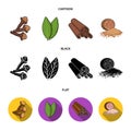 Clove, bay leaf, nutmeg, cinnamon.Herbs and spices set collection icons in cartoon,black,flat style vector symbol stock Royalty Free Stock Photo