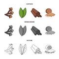 Clove, bay leaf, nutmeg, cinnamon.Herbs and spices set collection icons in cartoon,outline,monochrome style vector Royalty Free Stock Photo