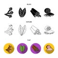 Clove, bay leaf, nutmeg, cinnamon.Herbs and spices set collection icons in cartoon style vector symbol stock