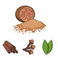 Clove, bay leaf, nutmeg, cinnamon.Herbs and spices set collection icons in cartoon style vector symbol stock Royalty Free Stock Photo