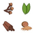 Clove, bay leaf, nutmeg, cinnamon.Herbs and spices set collection icons in cartoon style vector symbol stock Royalty Free Stock Photo