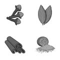 Clove, bay leaf, nutmeg, cinnamon.Herbs and spices set collection icons in monochrome style vector symbol stock Royalty Free Stock Photo