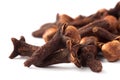 Clove macro Syzygium aromaticum