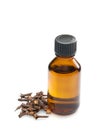 Clove oil Royalty Free Stock Photo