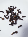 Clove seeds scattered in a white background Royalty Free Stock Photo