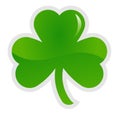 Clove shamrock vector illustration Royalty Free Stock Photo