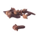 Clove spice closeup isolated on a white background Royalty Free Stock Photo