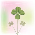 Clover