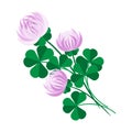 Clover bouquet - digital illustration on white background